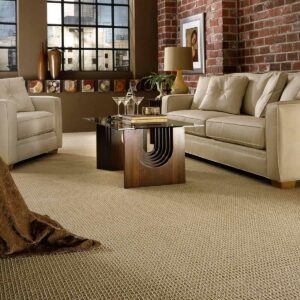 Living room Carpet flooring | Tom's Carpet & Flooring Outlet