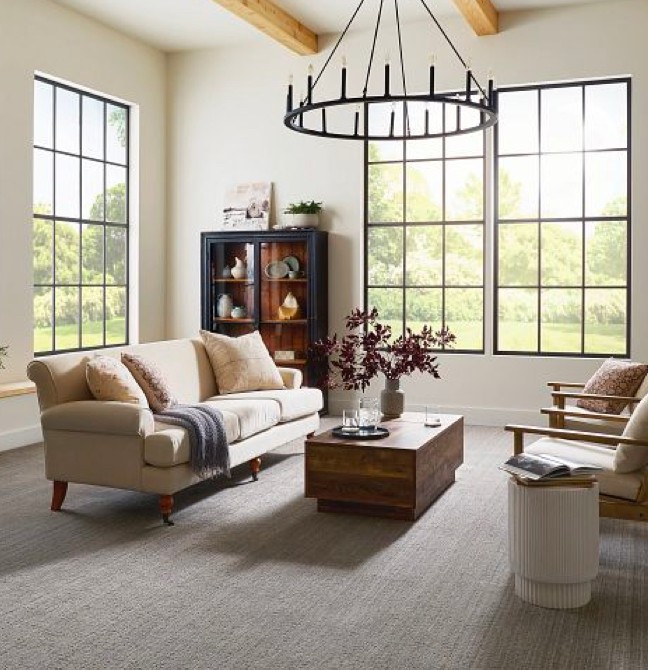 Living room Carpet | Tom's Carpet & Flooring Outlet