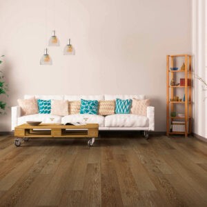 Vinyl flooring for living room | Tom's Carpet & Flooring Outlet