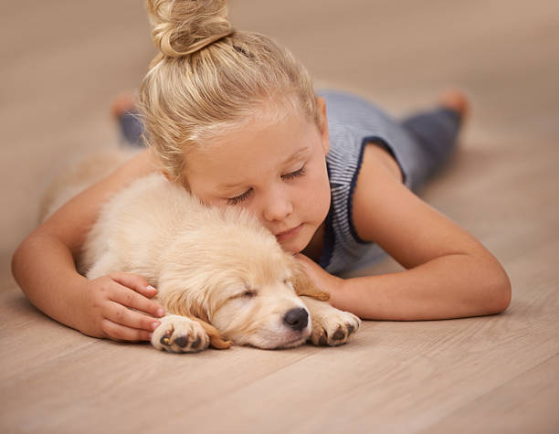 Kid & pet Safe floor | Tom's Carpet & Flooring Outlet